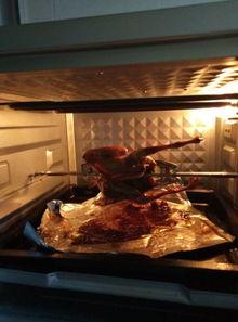 烤鸽子的做法视频教程,视频教程教你轻松掌握美味佳肴